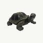 Heavy-Duty Metal Tortoise Figurine (Box)