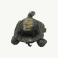 Heavy-Duty Metal Tortoise Figurine (Box)