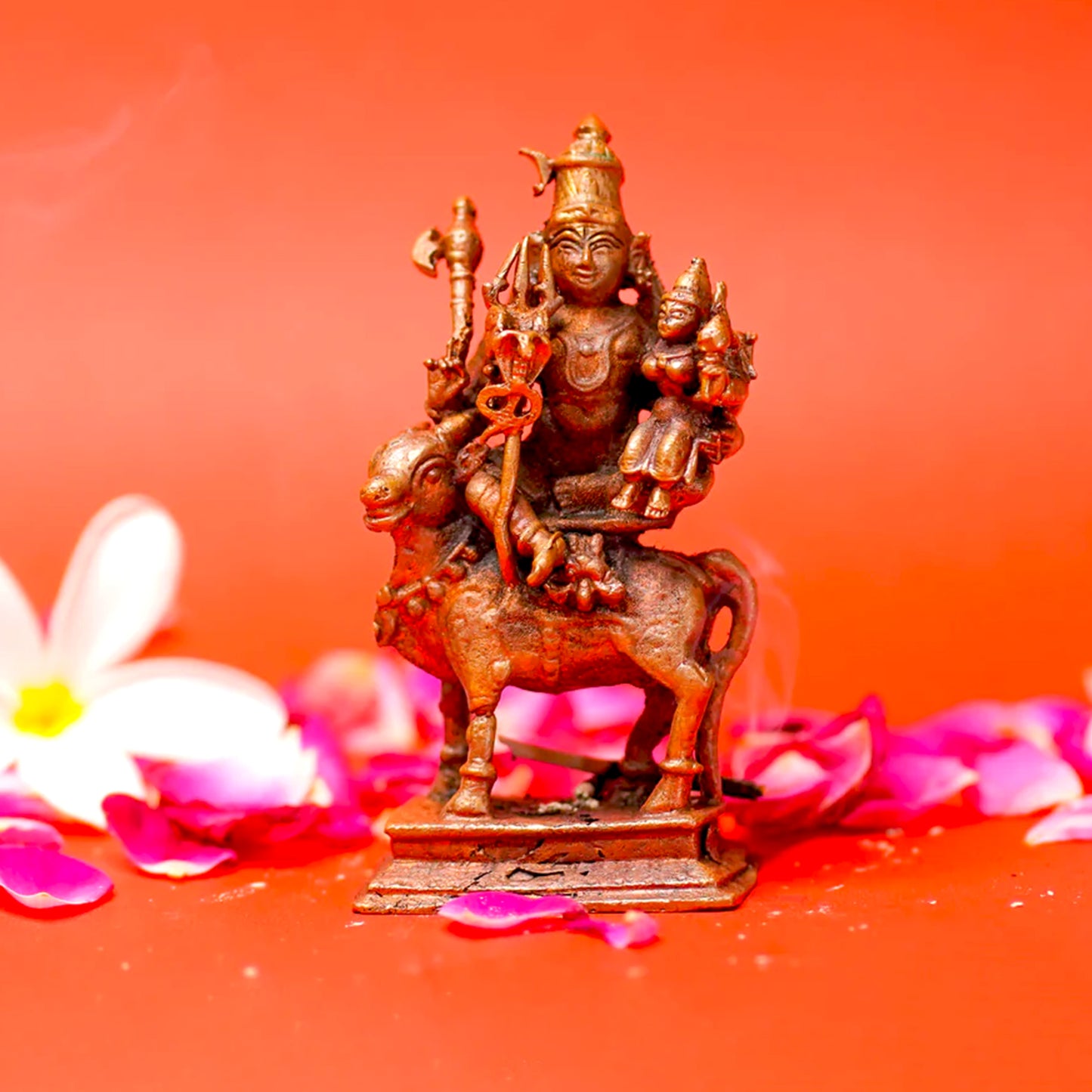 Mahadev - The Cosmic Rider